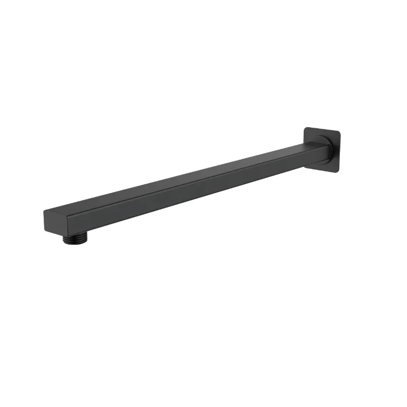 Shower arm
