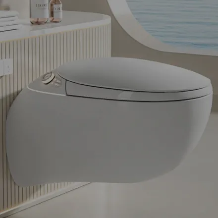 SMART TOILET